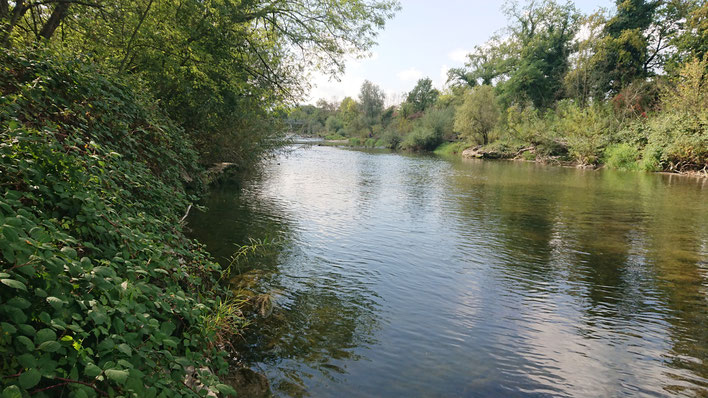 landschaftsökologi_Birsebene – NVA