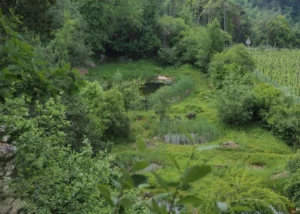 Herzogenmatt – NVA