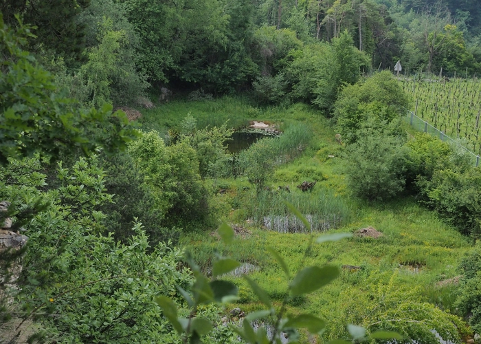 Herzogenmatt – NVA