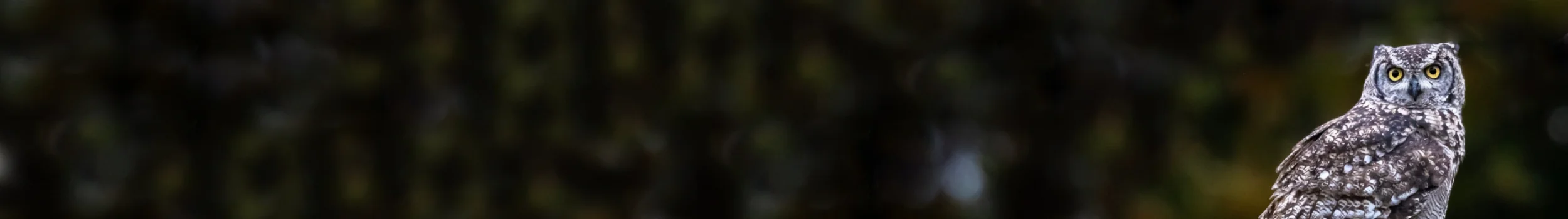 Naturschutzverein Arlesheim