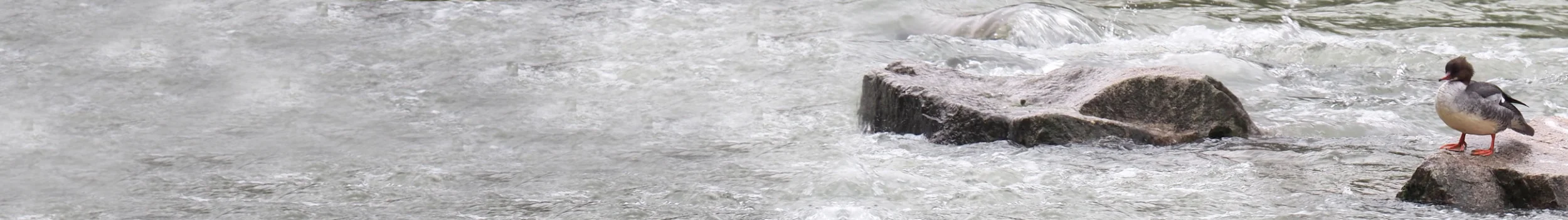 Naturschutzverein Arlesheim