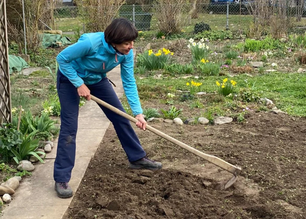 Woman in a blue jacket and navy pants digs soil with a long-handled hoe in a garden bed.