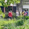 Spechtarten_2