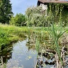 Spechtgarten_3